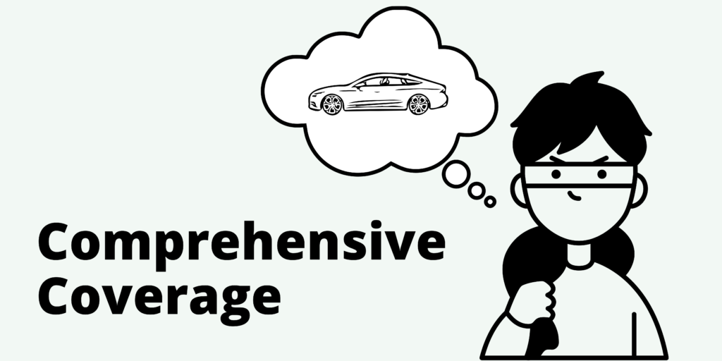 Comprehensive auto insurance coverage